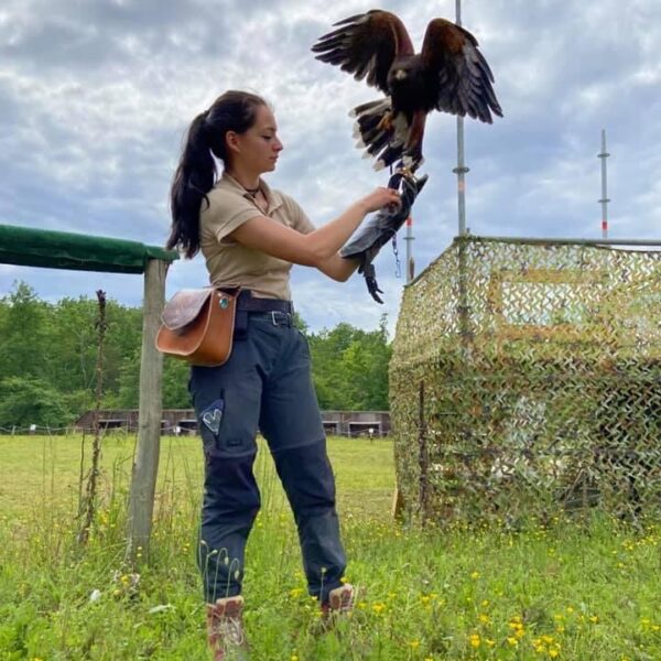 Une femme tiens un aigle posé sur sa main
