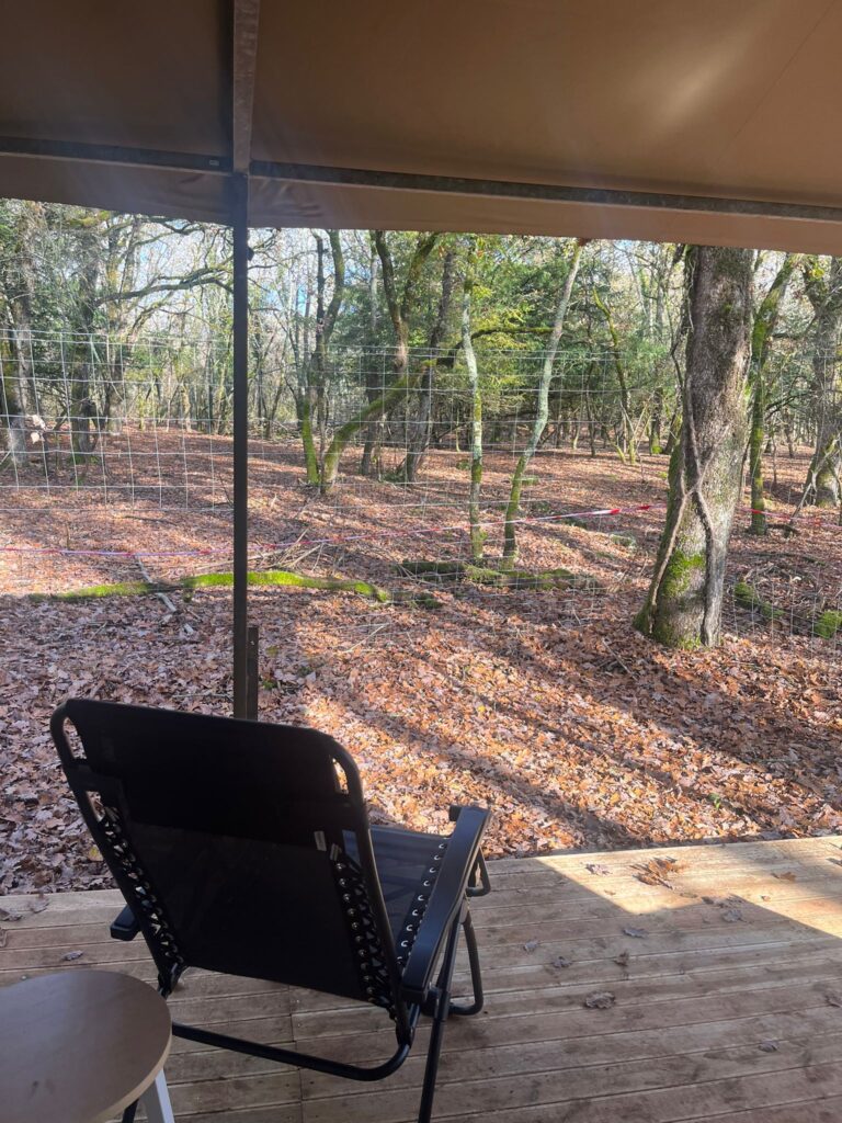 Le fauteuil sur la terrasse avec vue sur l'enclos des daims